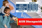 AUH Discapacidad 2026: detalles del cobro con Tarjeta Alimentar y Libreta